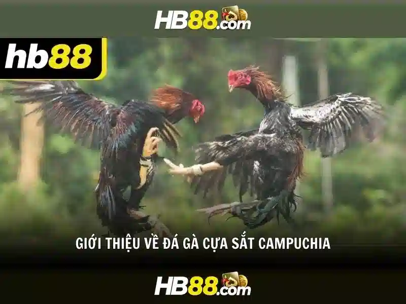 HB88 là gì và tại sao được nhiều người chơi tin dùng