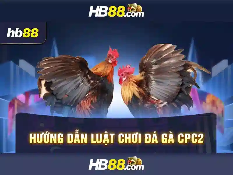 Khuyến mãi và chương trình thưởng