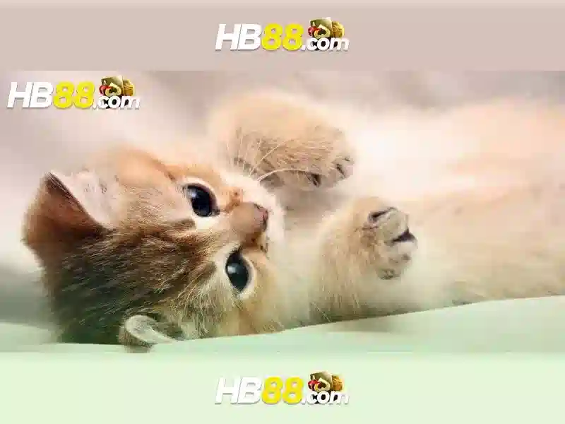 Hướng dẫn đăng ký và thanh toán
