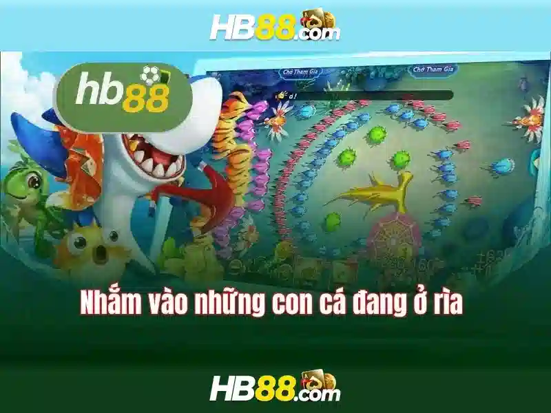 Pháp lý và quy định