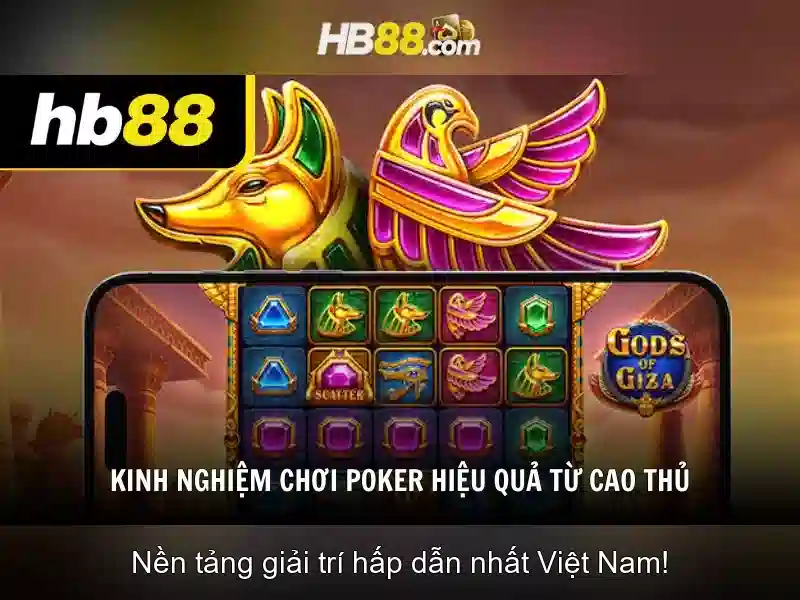 Tính năng nổi bật