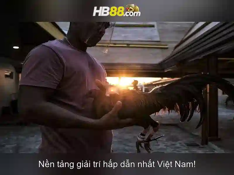 <!--IMG_PLACEHOLDER alt>Nguồn gốc và sứ mệnh của bắn cá hb88-->