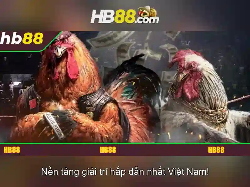 HB88 là gì và tại sao nhiều người quan tâm