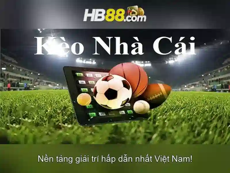 Liên hệ và hỗ trợ