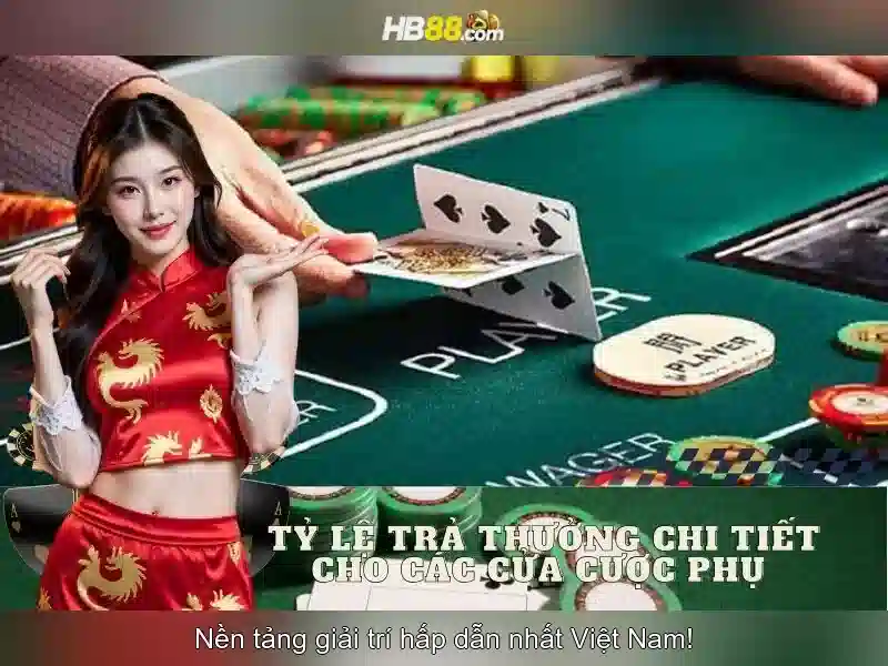 Hướng dẫn tham gia an toàn