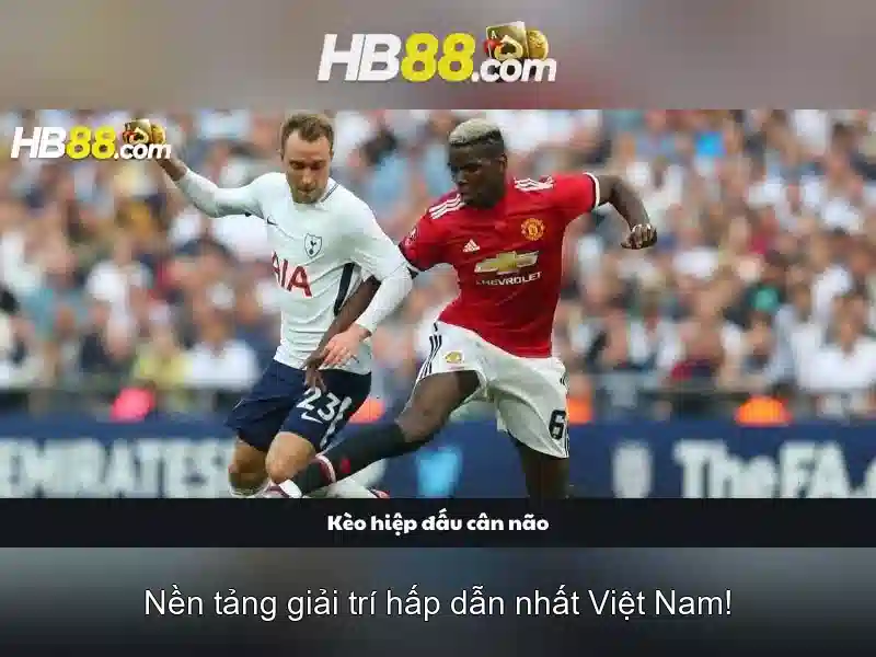 HB88 là gì?