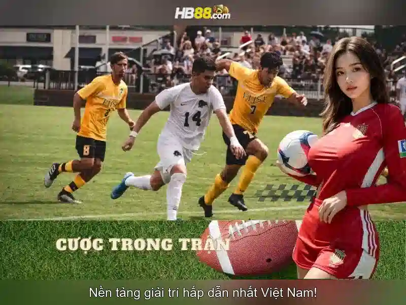 Kết luận